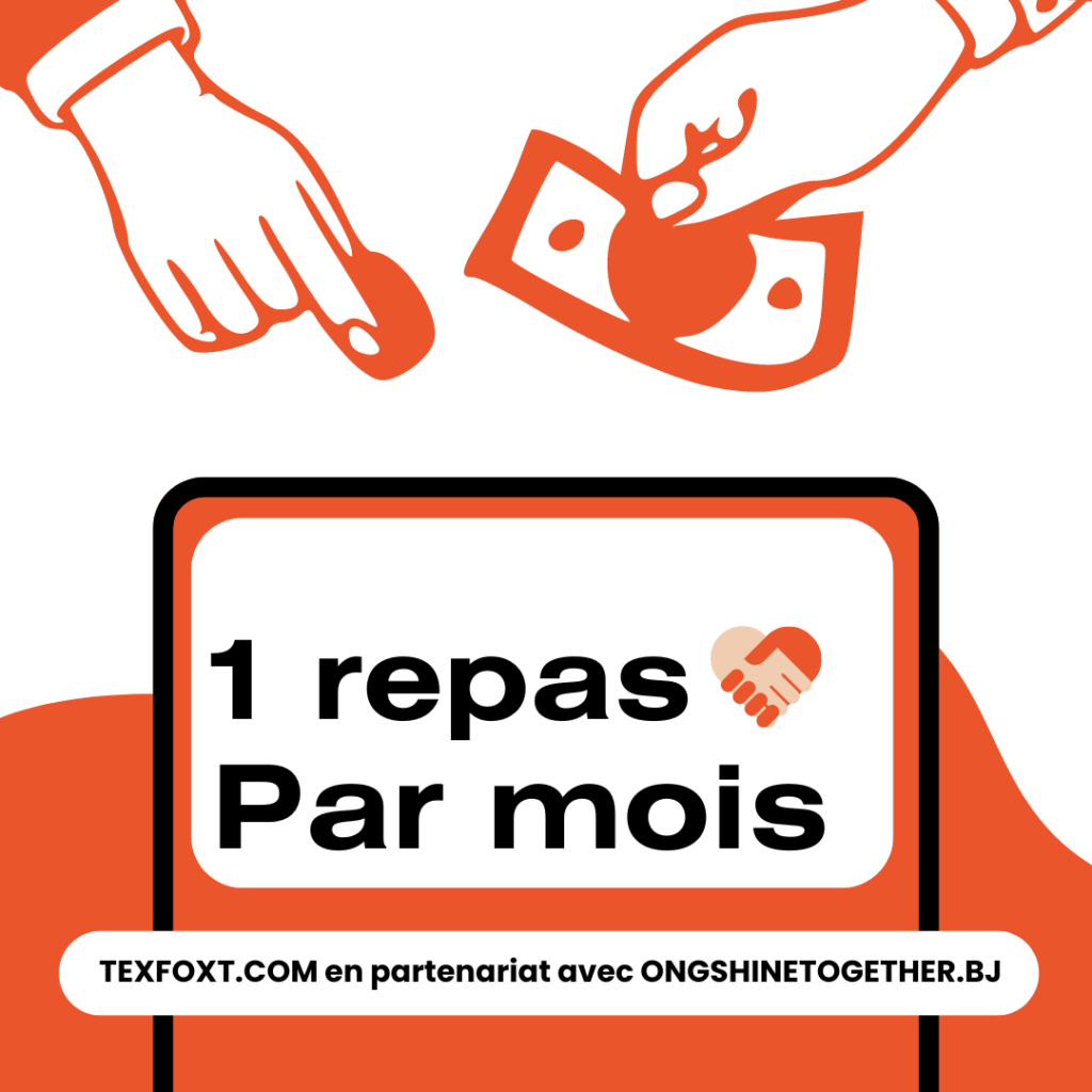 TexFoxt : De l'adaptabilité à l'excellence en rédaction hybride et SEO 3 ONG Shine Together et Texfoxt